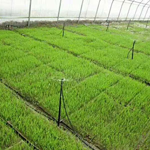 内蒙古节水灌溉PE管使用要悉心维护不容小觑