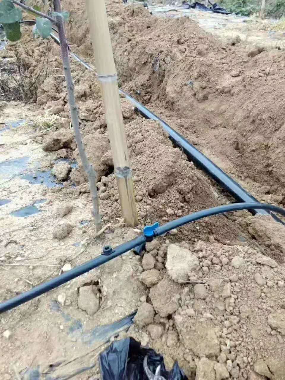 发生内蒙古滴灌堵塞的处理
